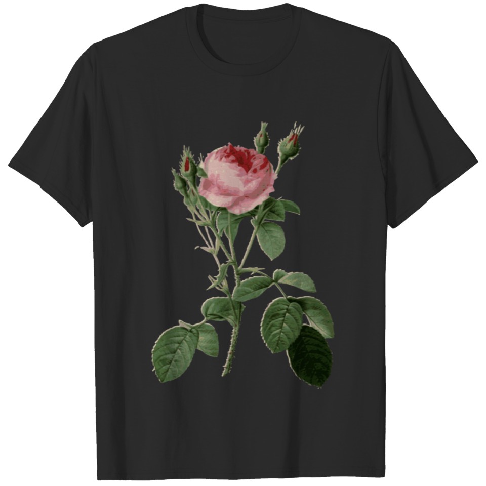 Redoute Rosa muscosa multiplex color T-shirt
