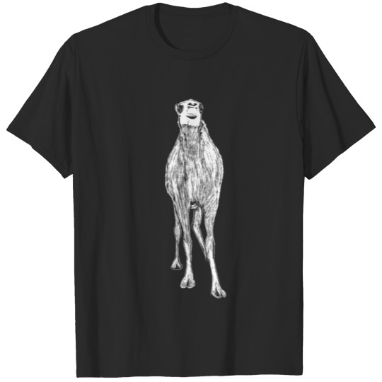 Camel Art Illustration Dromedary Gift Camels T-shirt