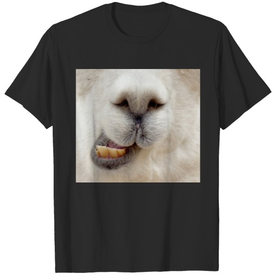 Alpaca T-shirt, Alpaca T-shirt
