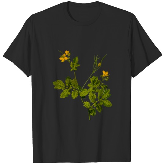 Greater celandine (detailed) T-shirt