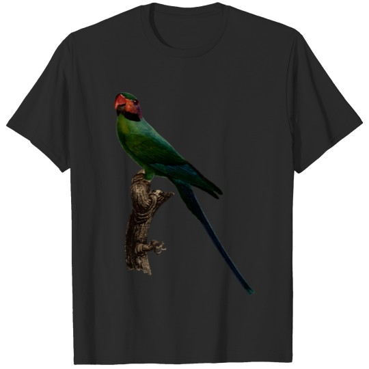 Parrot 7 T-shirt
