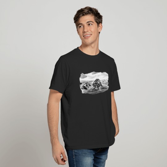 Turtle's Journey T-shirt